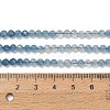 Gradient Color Natural Devil Blue Aquamarine Beads Strands G-NH0072-B01-4mm-6