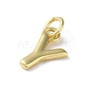 Rack Plating Brass Charms KK-P245-06G-Y-2