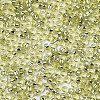 Glass Seed Beads X-SEED-S042-04A-02-3