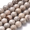 Natural Maifanite/Maifan Stone Beads Strands G-I187-8mm-01-8