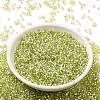 Glass Seed Beads SEED-S042-04B-24-2