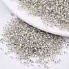 Glass Seed Beads X-SEED-S042-04B-06-1