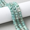 Natural Amazoniten Beads Strands G-M445-B01-01-1
