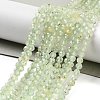 Natural Prehnite Beads Strands G-G161-A13-03-2
