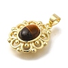 Natural Tiger Eye Pendants G-K381-01G-03-2