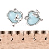 Alloy & Resin Pendants FIND-Z053-04B-04-3