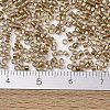 MIYUKI Delica Beads X-SEED-J020-DB2396-4