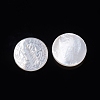Natural White Shell Cabochons SSHEL-D083-12C-2