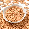 Baking Paint Glass Seed Beads SEED-K009-01A-13-2