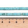 Natural Turquoise Beads Strands G-M422-C01-01-4