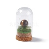 Natural Tiger Eye Mushroom Display Decoration with Glass Dome Cloche Cover G-E588-03F-2