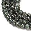 Natural Green Kyanite Beads Strands G-H335-B02-6mm-AB-4