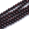 Natural Bloodstone Beads Strands G-R412-06-10MM-1