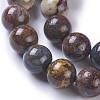 Natural Pietersite Beads Strands G-P428-06-10mm-3