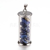 Alloy & Glass Wish Bottle Pendants G-Z017-02-1