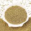 11/0 FGB Grade A Round Glass Seed Beads SEED-N001-C-0561-2