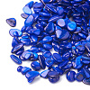 Shell Beads SHEL-R020-10-1