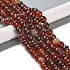 Natural Agate Beads Strands G-M437-B01-01K-1