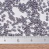 MIYUKI Delica Beads SEED-X0054-DB1789-3