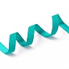 Single Face Polyester Satin Ribbons SRIB-G008-342-1