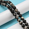 Natural Black Fossil Coral Beads Strands G-R494-A04-03-4