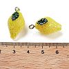 AB Color Resin Pendants RESI-C051-02F-P-3