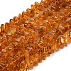 Natural Amber Beads Strands G-K376-C03-01-2
