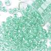6/0 Glass Seed Beads X-SEED-A015-4mm-2219-1
