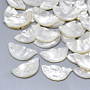 Natural White Shell Mother of Pearl Shell Cabochons SSHEL-S264-061-1