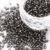 Glass Bugle Beads SEED-S032-08A-52-1