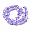 Natural Freshwater Shell Beads Strands SHEL-N003-23-B01-2