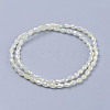 1 Strand Electroplate Glass Beads Strands X-EGLA-J013-4X6mm-F03-5