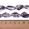 Handmade Lampwork Beads Strands LA-N046-02D-4
