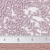 MIYUKI Delica Beads X-SEED-J020-DB2361-4