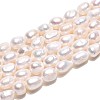 Natural Cultured Freshwater Pearl Beads Strands PEAR-N014-06I-01-2