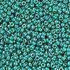 MIYUKI Round Rocailles Beads SEED-G007-RR5106-2