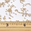 MIYUKI Delica Beads SEED-MY11-DB1731-4