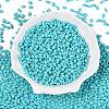 Baking Paint Glass Seed Beads SEED-T006-03H-1