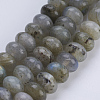 Natural Labradorite Beads Strands G-P354-01-8x5mm-1