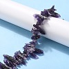 Rough Raw Natural Amethyst Beads Strands G-G010-12-4
