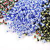 12/0 Opaque Colours Seep Glass Beads SEED-YW0001-09C-6