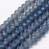 Full Rainbow Plated Faceted Rondelle Glass Bead Strands X-EGLA-L007-I01-4mm-2