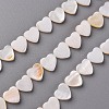 Natural Freshwater Shell Beads Strands X-SHEL-R144-25-1