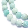 Natural Amazonite Beads Strands G-K310-A02-10mm-3