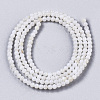 Natural Freshwater Shell Beads Strands X-BSHE-T009-01F-2