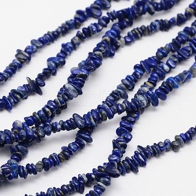 Chips Natural Lapis Lazuli Beads Strands X-G-N0164-46-1