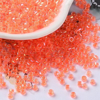 Glass Seed Beads SEED-S042-13A-06-1
