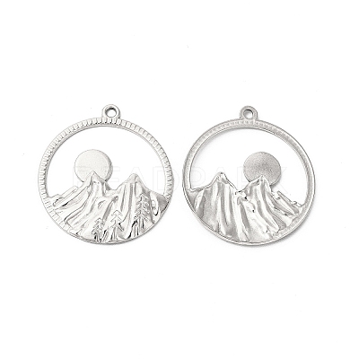 Non-Tarnish 304 Stainless Steel Pendants STAS-L268-010P-1
