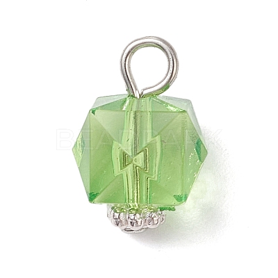 Transparent Acrylic Pendants PALLOY-JF04258-02-1