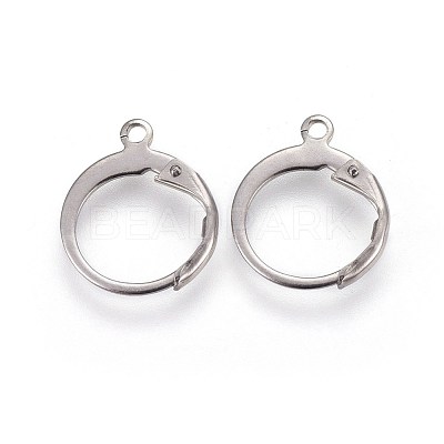 Tarnish Resistant 304 Stainless Steel Leverback Earring Findings STAS-I100-19P-1